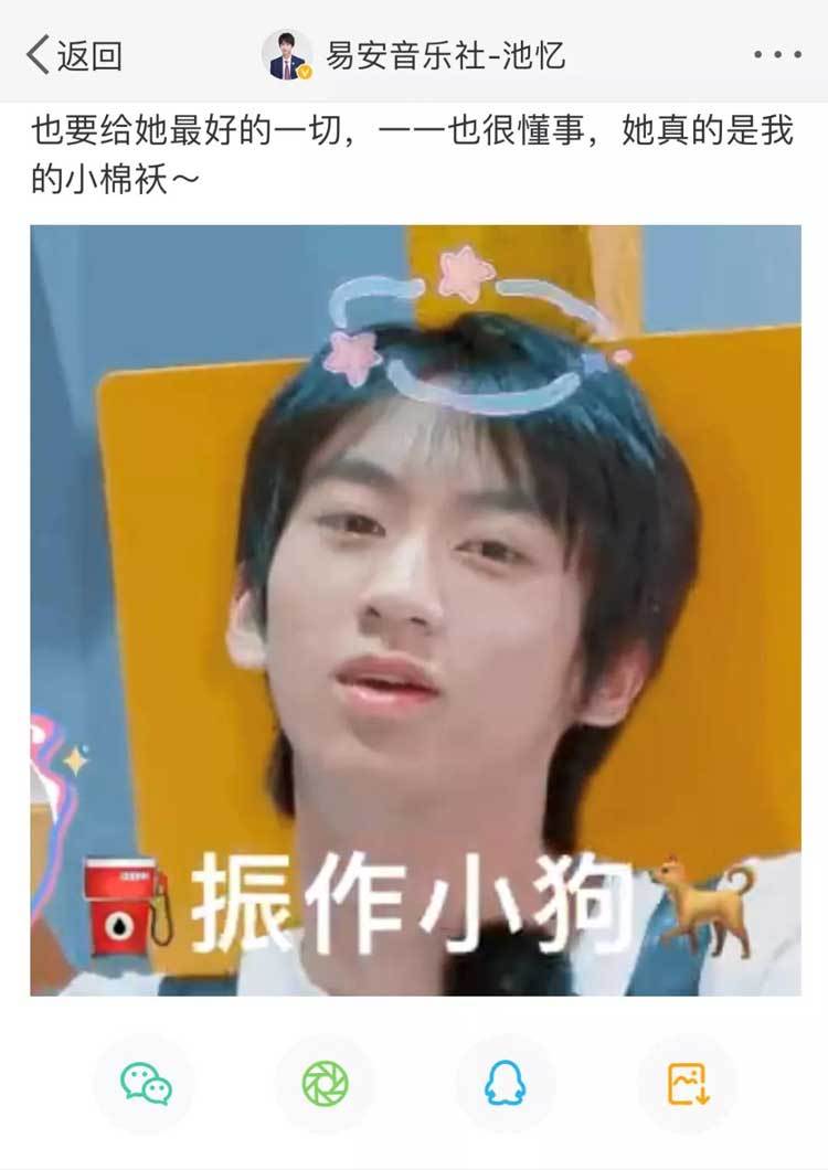 综艺.jpg